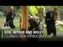 Ron, Arthur And Molly Celebrate Their 5th Rescueversary!