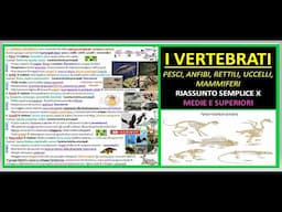 ANIMALI VERTEBRATI riassunto semplice scienze x medie e superiori