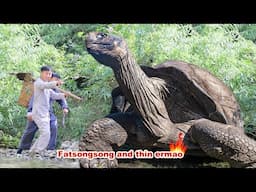 mukbang | Shocked❗Songsong Ermao encountered a huge turtle outdoors! | songsong and ermao