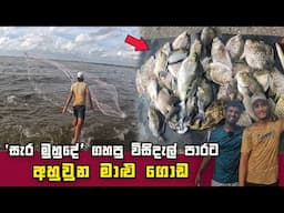 Big Catch! Thrilling Cast Net Fishing in Sea, Sri Lanka