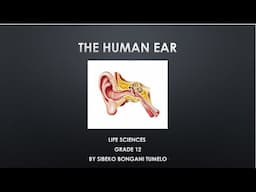 LIFE SCIENCES: HUMAN EAR GRADE 12