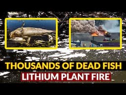 "THOUSANDS" OF DEAD FISH in critical watershed following Lithium Plant Fire.