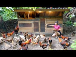 Full Video : 3 in 1 chicken coop idea | 3 year Alone LIVING OF GRID