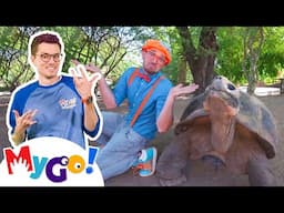 Blippi Visits a Zoo (Phoenix Zoo) | Blippi | MyGo! Sign Language for Kids | Educational Videos