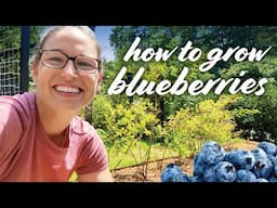 Blueberry Plant Care: Prune, Fertilize, Soil, Harvest, Water, & Pests