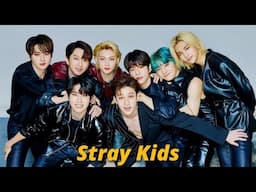 if stray kids had a sitcom opening