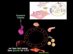 A Common Root Cause Of Chronic Diseases? (Why Many Longevity Meds Treat Diabetes) READ SUMMARY BELOW