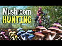 I Found HUGE Mushrooms While Bike Riding!