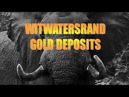 ORE DEPOSITS 101 - Part 8 - Witwatersrand Gold