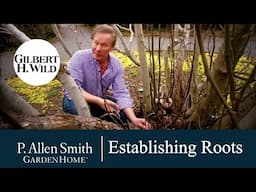 Establishing Roots in the Garden | Garden Home (1702)