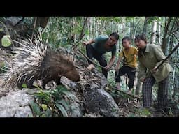 Detect traces of wild porcupines, set traps to catch and raise them. farm life, SURVIVAL ALONE