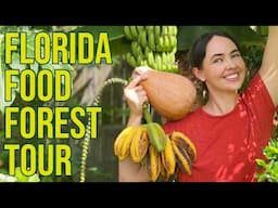 Suburban Florida Back Yard Food Forest Tour