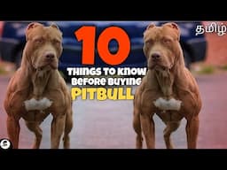 10 things we should know before buying American Pitbull Terrier | dangerous dog | தமிழ்