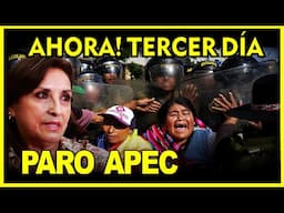 🔴URGENTE! DETIENEN  A PUNEÑA DE 70 AÑOS EN EL MARCO DE LAS PROTESTAS APEC-