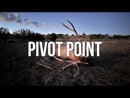 Let The Elk Come to YOU! | Arizona Elk PIVOT Point