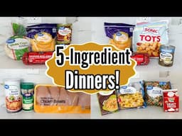 5 CHEAP & EASY 5-INGREDIENT DINNERS!