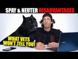 Disadvantages of Spay and Neuter What Vets WON'T Tell You