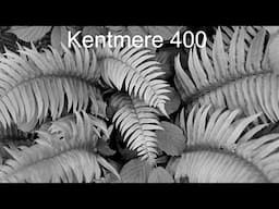 Kentmere 400 Black and White Film and Looking for a Light Leak