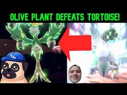 🐢 SHINY OLIVE PLANT DEFEATS GROUND TORTOISE! POKEMON SCARLET VIOLET 7 STAR TORTERRA RAID! 🐢