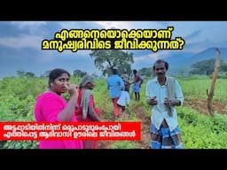 ഈ കാട്ടിലും മനുഷ്യർ ജീവിക്കുന്നു! Life in Remote Tribal Settlement - Attappadi - Tamilnadu