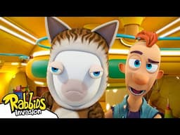 Rabbid kitty business (S04E64) | RABBIDS INVASION 🐰 | New episode New Season | Cartoon for Kids