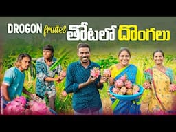 Drogon fruits తోటలో దొంగలు||fruits  business||my village comedy||dhoom dhaam channel