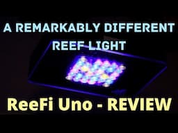 ReeFi Uno Review - A Remarkably Different Reef Light