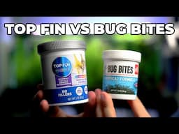 Better Than Bug Bites!?! Top Fin Tropical Fish Crumbles Review