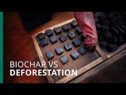 Biochar from banana peels breaks ground in Cameroon