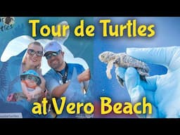 Tour de Turtles at Disney's Vero Beach Resort & Family Vacation Vlog