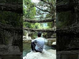 #089 Root Bridge of Meghalaya 😍  Part- 2 #indiatrip #shorts #meghalaya