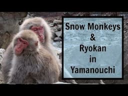 Yamanouchi, Nagano, Travel Guide: See Snow Monkeys & Explore Onsens! (It's AMAZING)