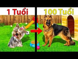 CUỘC SỐNG CỦA BÉ CÚN MỚI SINH RA TỚI 100 TUỔI(DOG LIFE SIMULATOR)