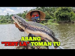 TEKNIK MANCING TOMAN DARI " ABANG TESLA "