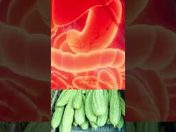 The Hidden ULTRA Connection Between This Food and Ulcer Prevention | 24 Tamil Health