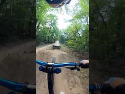 Would you ride this jumpline? #mtb