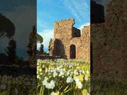 Procedural 3D Environments in Unreal Engine 5 #3d #unrealengine #games