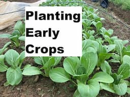 Planting Early Crops