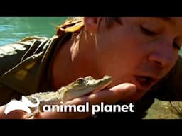 Steve Explores Mexico City's Animals | The Crocodile Hunter | Animal Planet