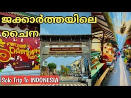 എവിടെ നോക്കിയാലും ചൈനാമയം | Chinatown in Jakarta | Jakarta City Tour | INDONESIA