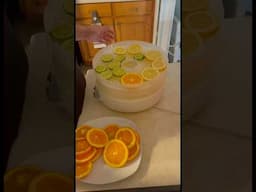 #dehydrating Lemons🍋Limes🍋‍🟩and Oranges🍊for cleaning supplies and hot drinks over winter!