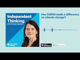 Has COP29 made a difference on climate change?