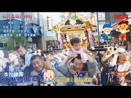 令和6年　稲荷森稲荷神社　御祭禮　本社神輿 HAPPY PAPA 幸せ渡御　迫力満点です　(video  ７  )　。