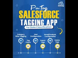 Introducing PinTags - #1 Salesforce Tagging App For All Your Data Classification Needs