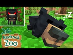 Black Bears Join the Zoo!! | Minecraft Bedrock Zoo with Add-Ons