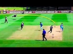 Cricket, But It's Run Outs You've Never Seen