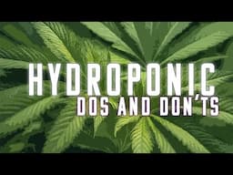 5 Hydroponic Beginners Mistakes That Are Easy To Make And Avoid | Things I wish I Knew Sooner