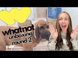 Another WhatNot UNBOXING video! Come see what deals I got this time around