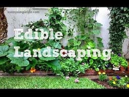 Edible Landscape Update, Spring 2024