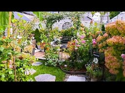 TINY BACKYARD GARDEN AUTUMN BLOOMS | PLANTS FLOWERS GARDEN TOUR #new #garden #flowers #plants #rose